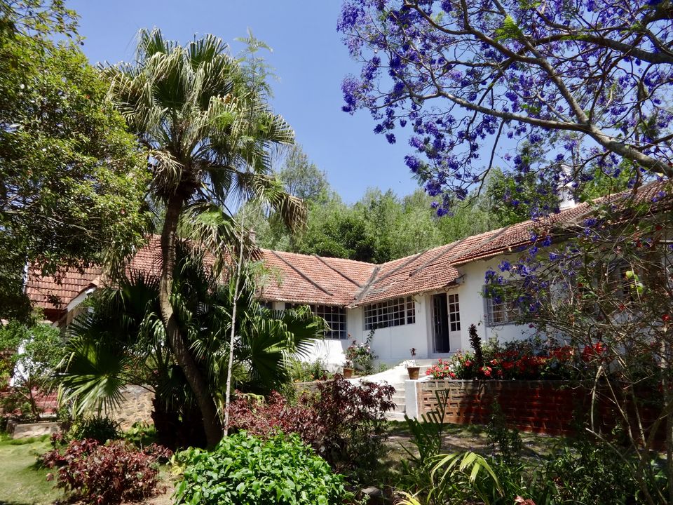 Photo of Solo Travel - Yercaud 19/88 by Vyshalini S Kakarla