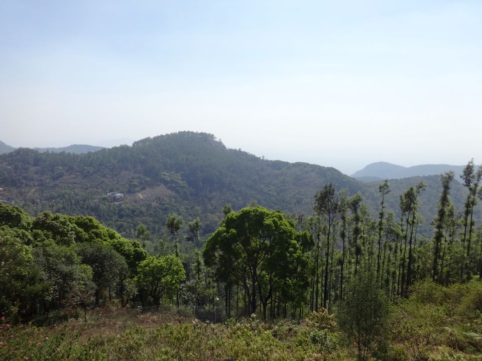 Photo of Solo Travel - Yercaud 30/88 by Vyshalini S Kakarla