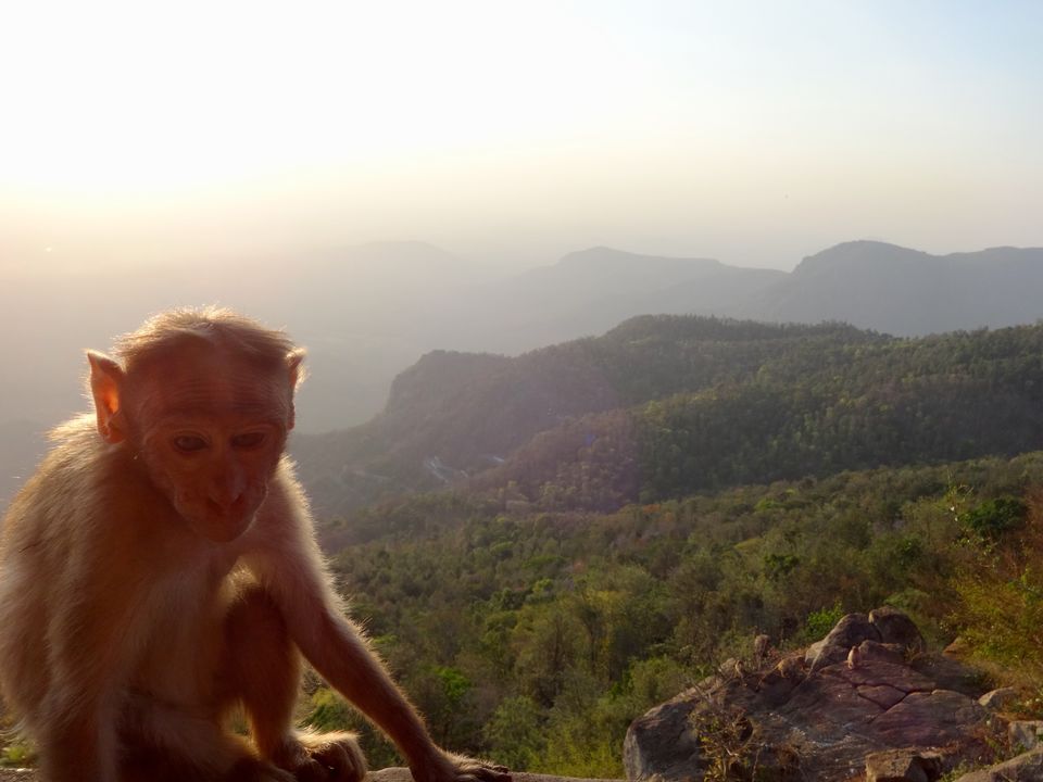 Photo of Solo Travel - Yercaud 39/88 by Vyshalini S Kakarla