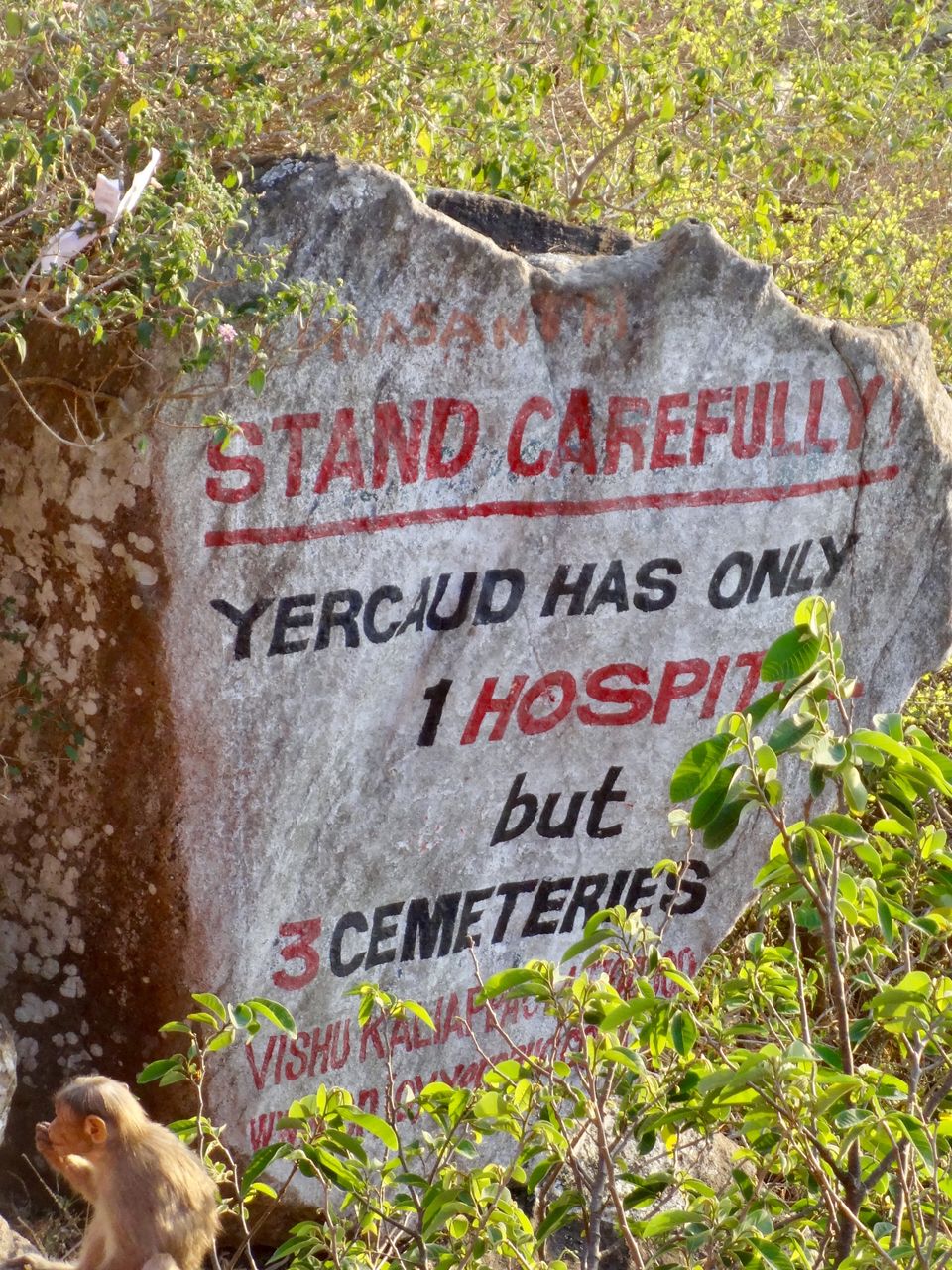 Photo of Solo Travel - Yercaud 38/88 by Vyshalini S Kakarla