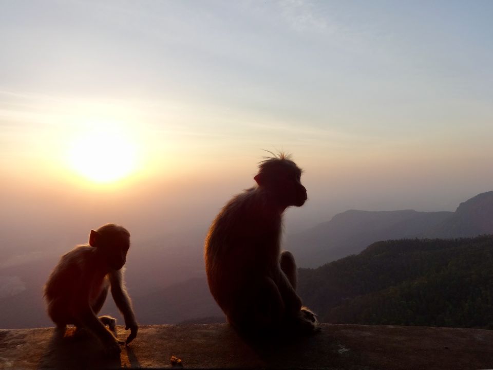 Photo of Solo Travel - Yercaud 40/88 by Vyshalini S Kakarla