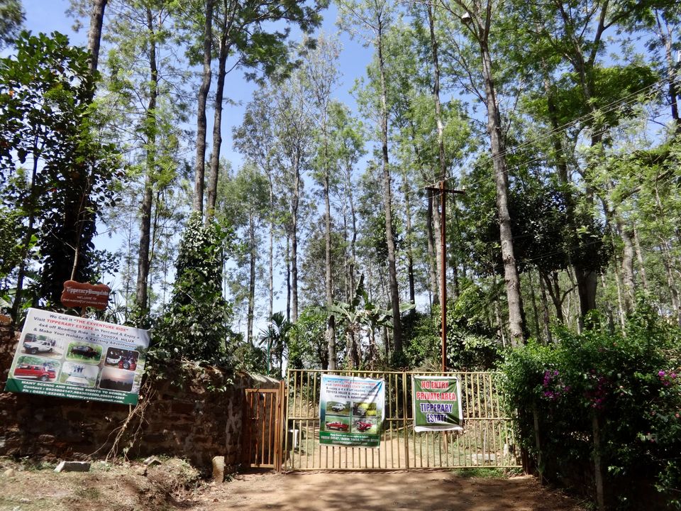 Photo of Solo Travel - Yercaud 44/88 by Vyshalini S Kakarla