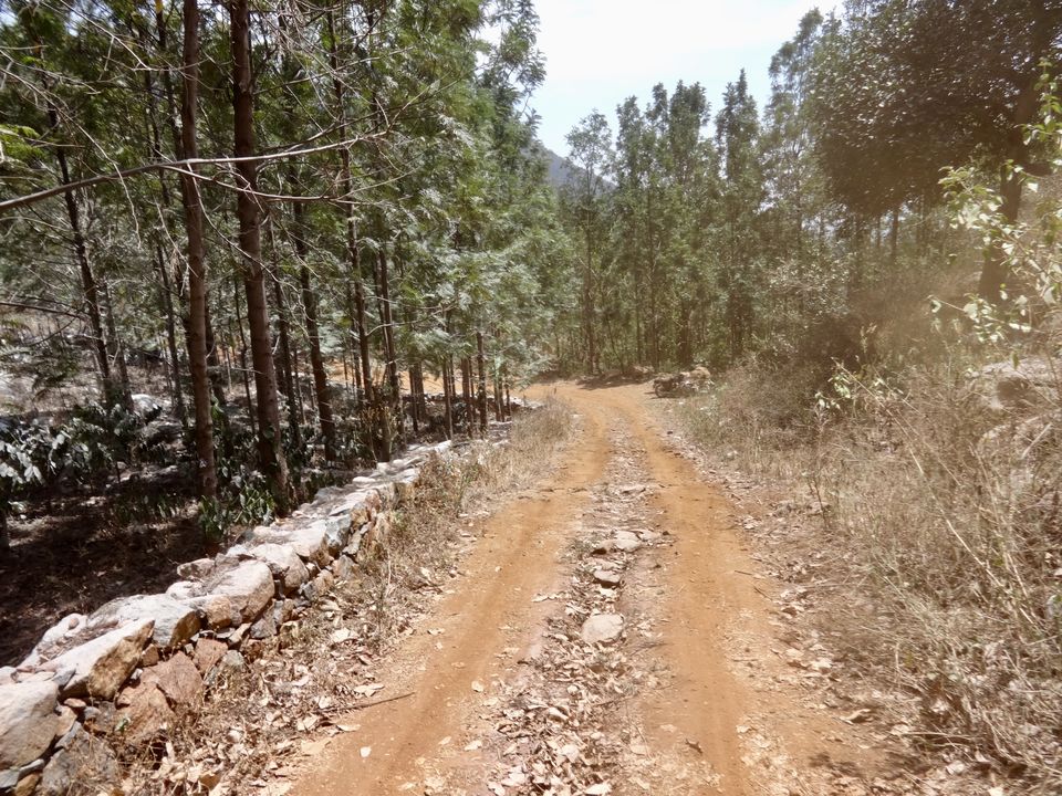 Photo of Solo Travel - Yercaud 48/88 by Vyshalini S Kakarla
