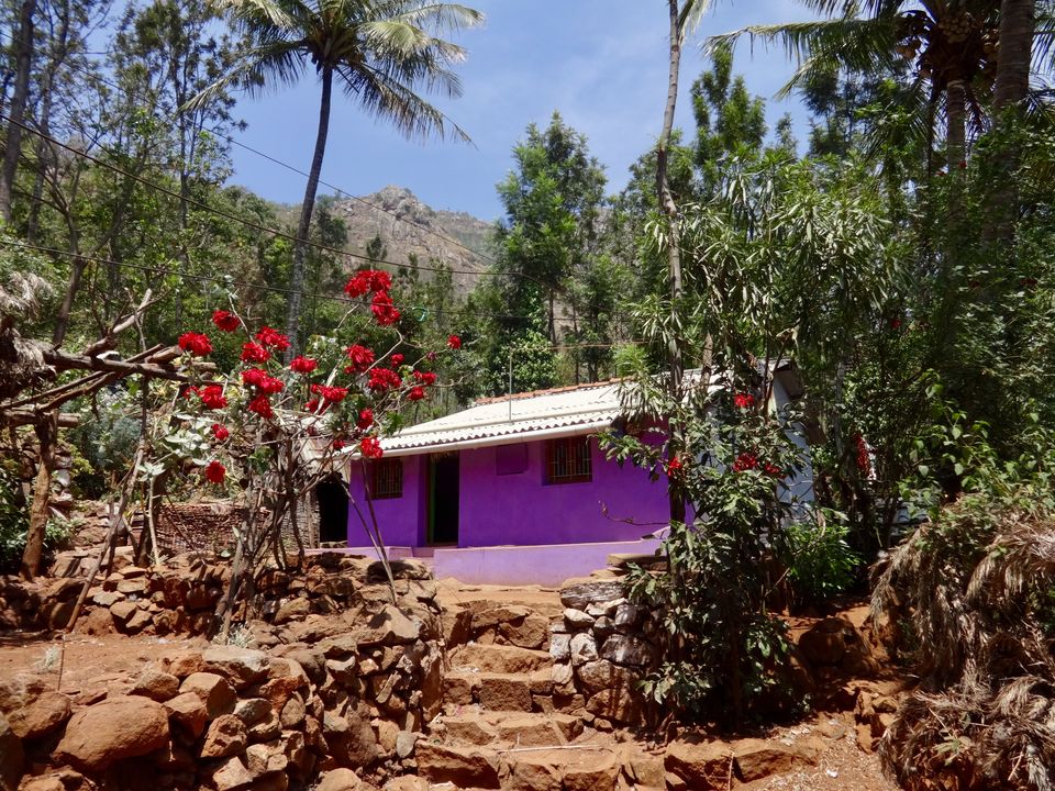 Photo of Solo Travel - Yercaud 60/88 by Vyshalini S Kakarla