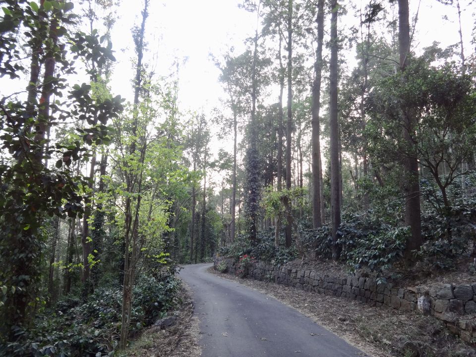 Photo of Solo Travel - Yercaud 70/88 by Vyshalini S Kakarla