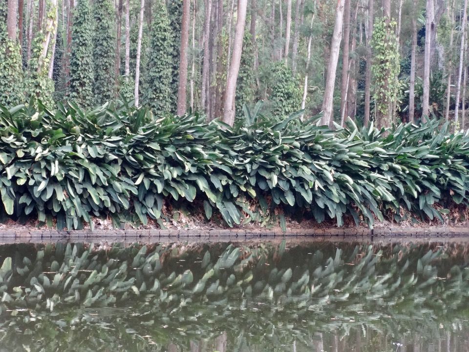 Photo of Solo Travel - Yercaud 73/88 by Vyshalini S Kakarla