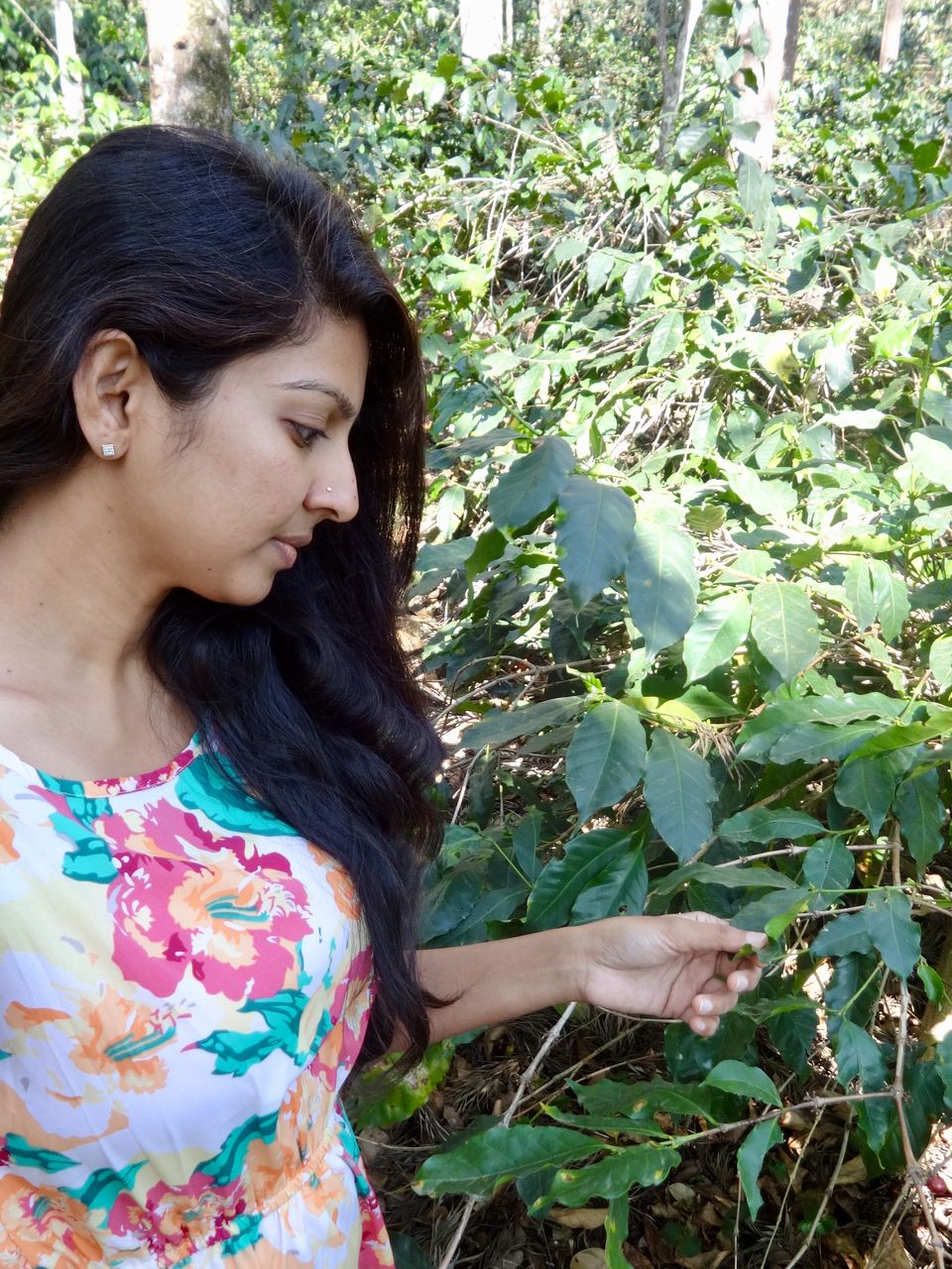 Photo of Solo Travel - Yercaud 83/88 by Vyshalini S Kakarla