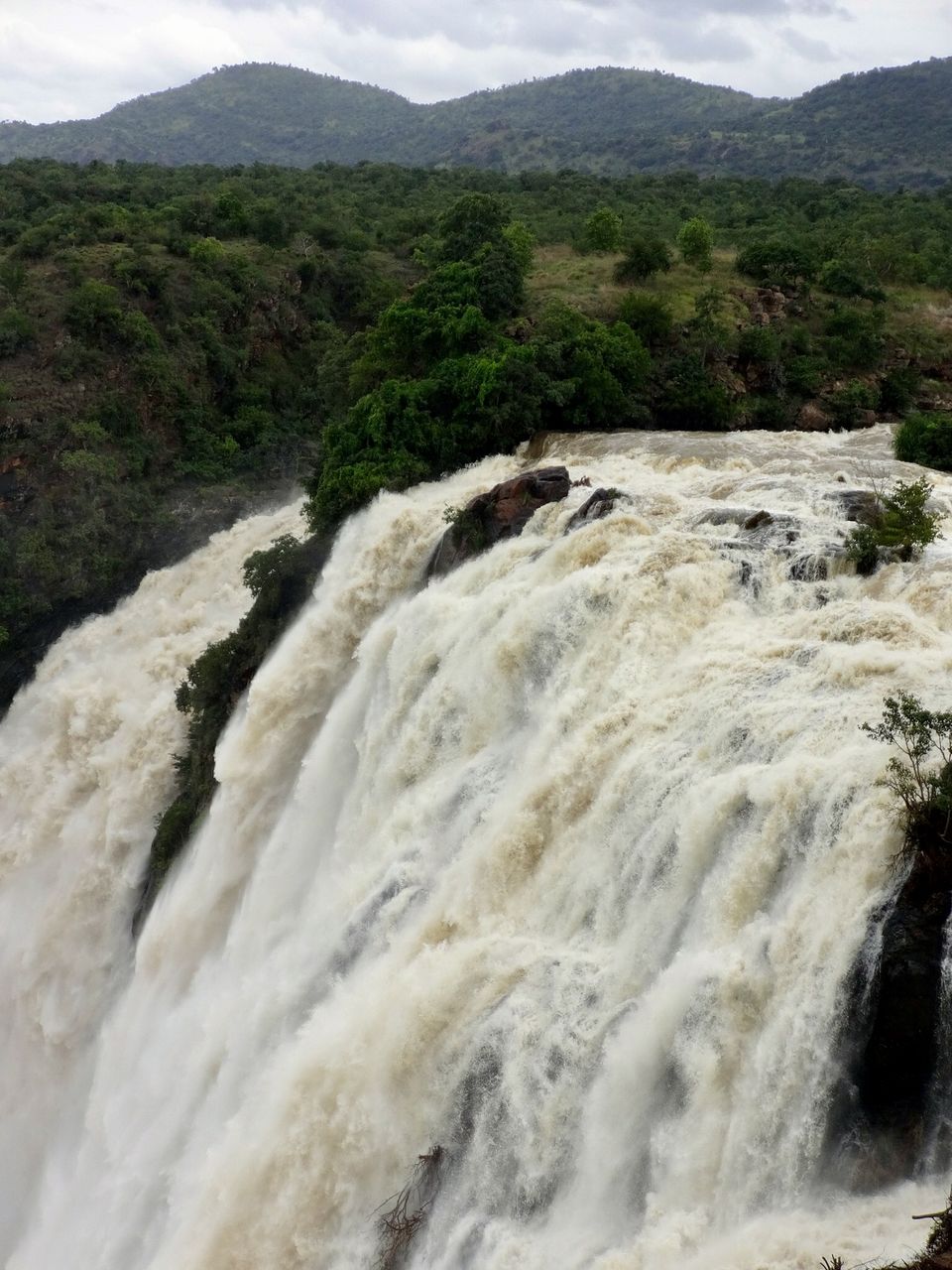 Photo of Sathegala- Beauty at its best! 6/22 by Vyshalini S Kakarla