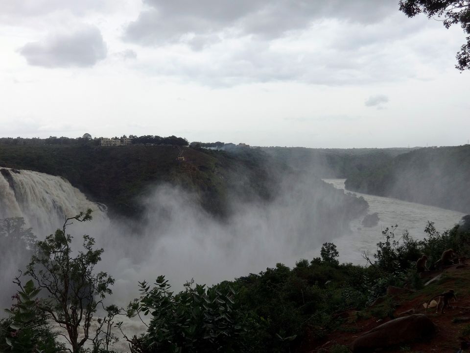 Photo of Sathegala- Beauty at its best! 12/22 by Vyshalini S Kakarla