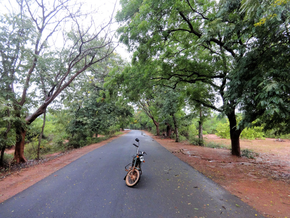 Photo of The Auroville Bakery - Tasteful Delight 1/14 by Vyshalini S Kakarla