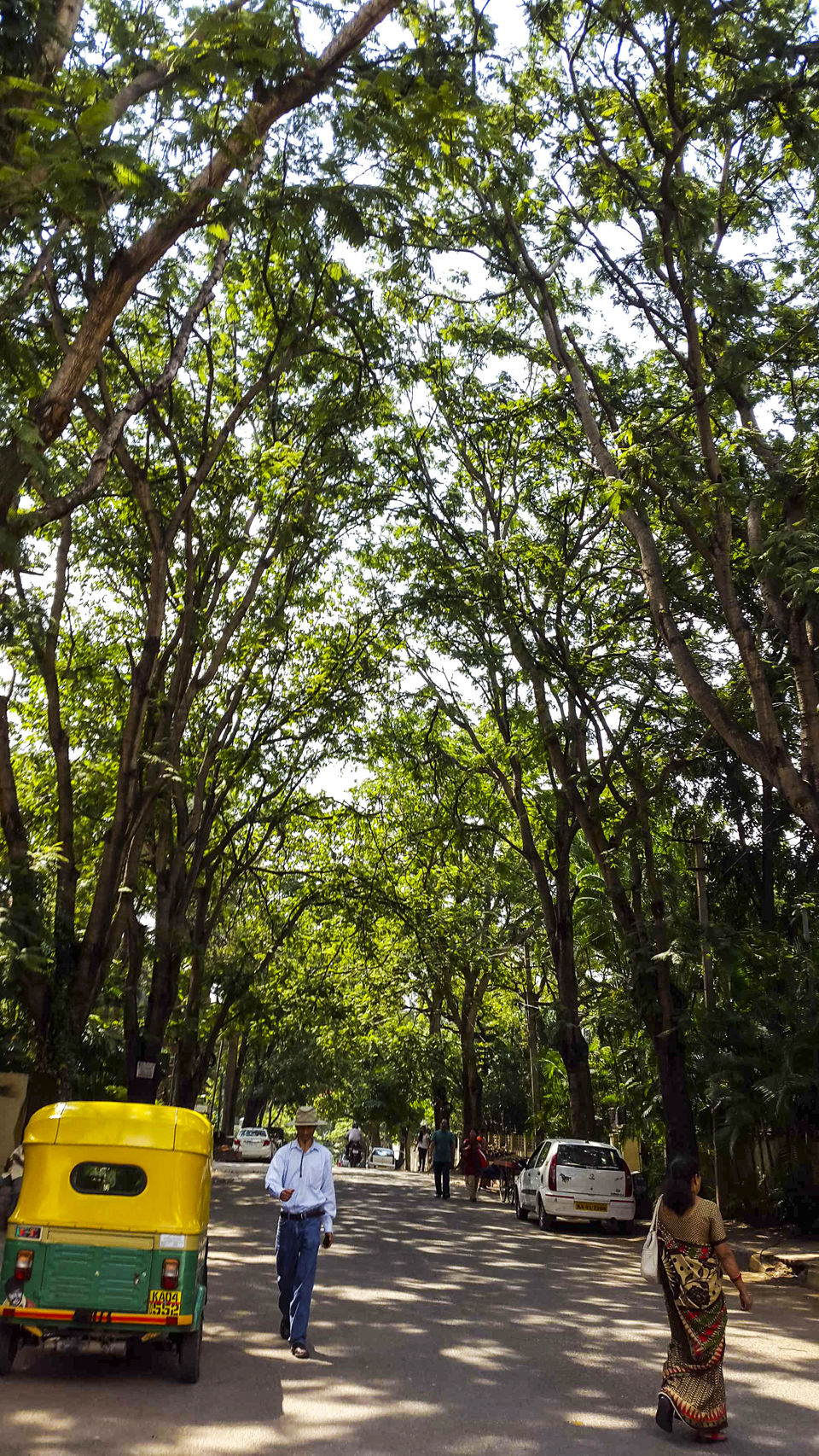 Photo of Walking around Malgudi, with a book and water-bottle in hand 7/65 by Taushik Mandal