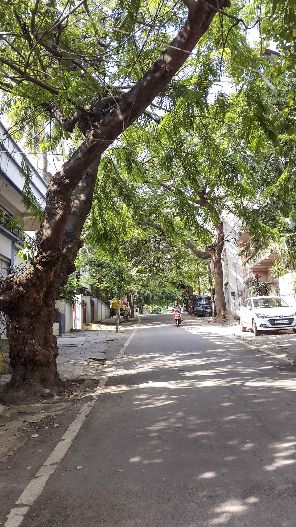 Photo of Walking around Malgudi, with a book and water-bottle in hand 41/65 by Taushik Mandal