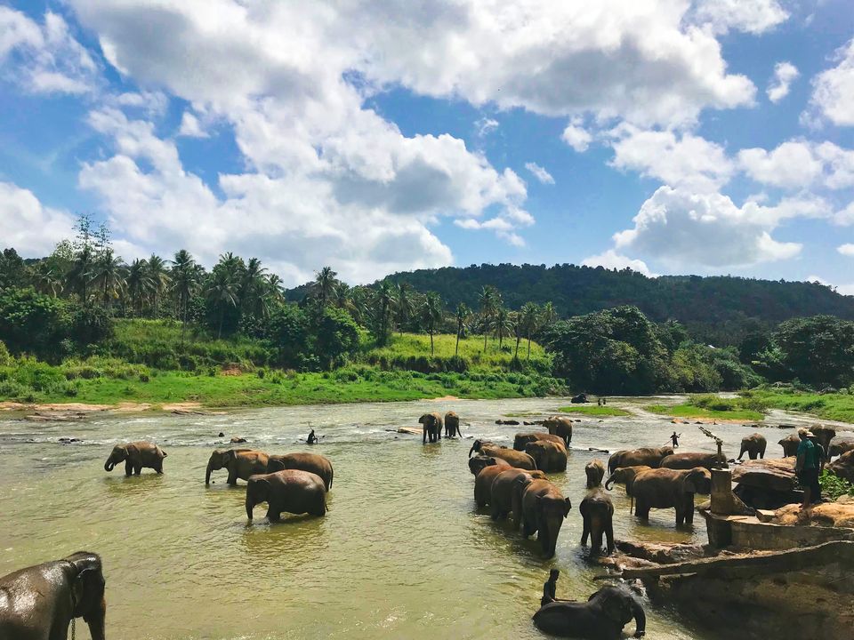 Photo of 5 Amazing Reasons Why You Should Visit Sri Lanka 1/1 by Meet Mama