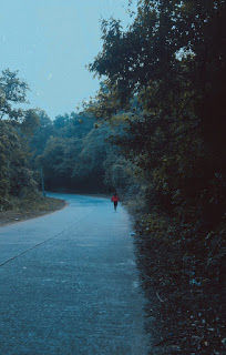 Photo of What is so special about staying in Dodda Mane, Agumbe. 3/6 by Farrier 09