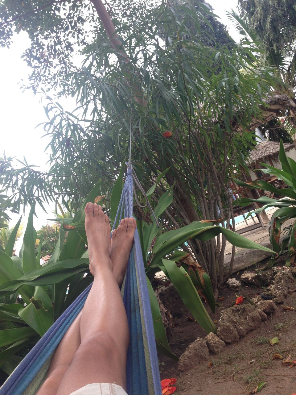 Photo of Mombasa - The Island of Peace! : My Kenya travel diary 2/16 by Akanksha Mishra