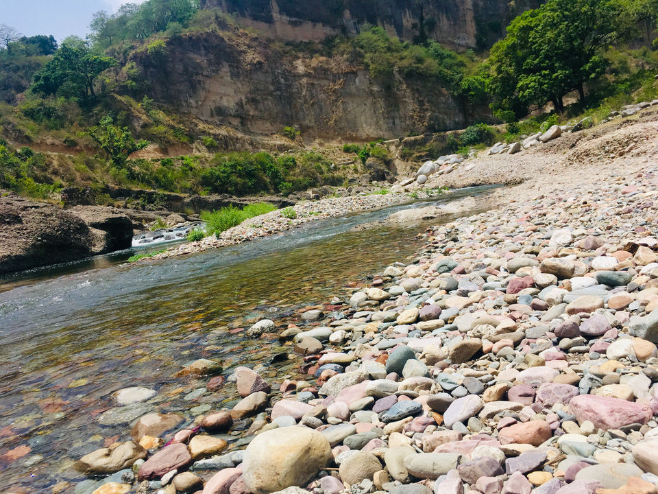 Photo of Kangra, Himachal Pradesh, India by Kajol Aikat
