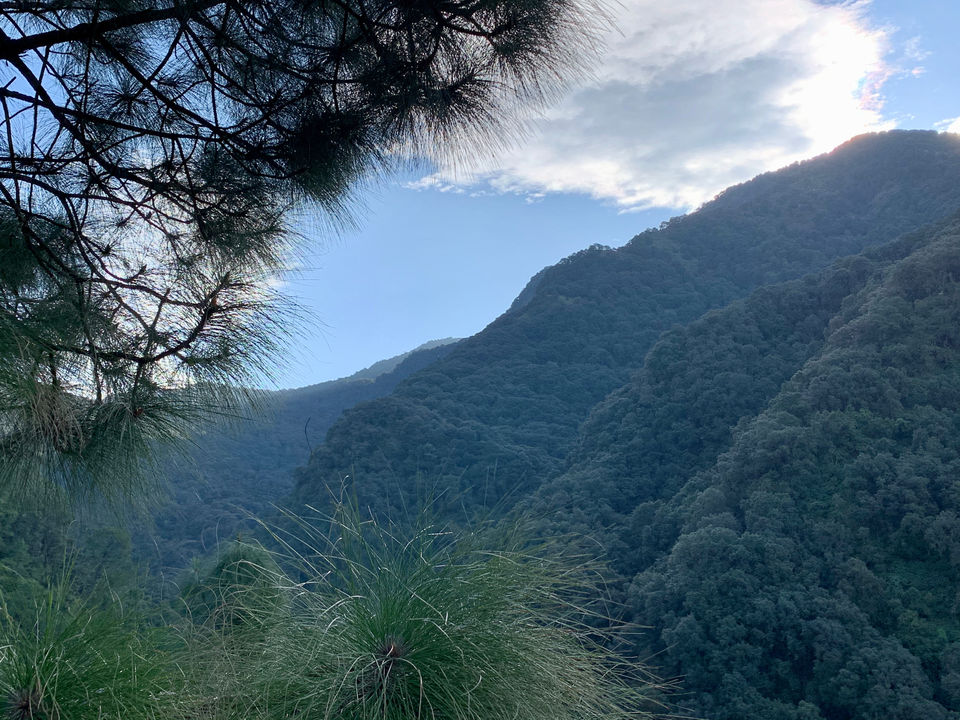 Photo of Pangot: A Must-Go Detour Before Nainital by Kajol Aikat
