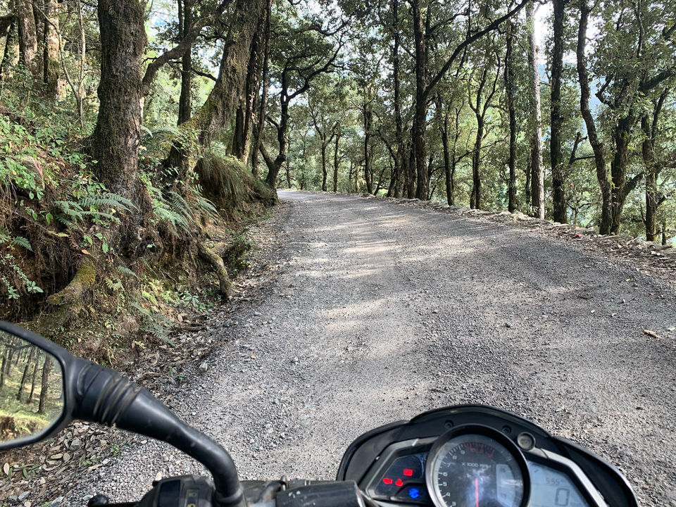 Photo of Pangot, Uttarakhand, India by Kajol Aikat