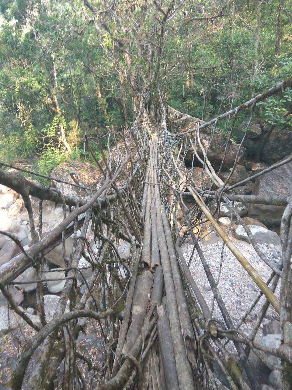 Photo of Detailed Travel Guide for "Meghalaya" 25/27 by raina.sahil