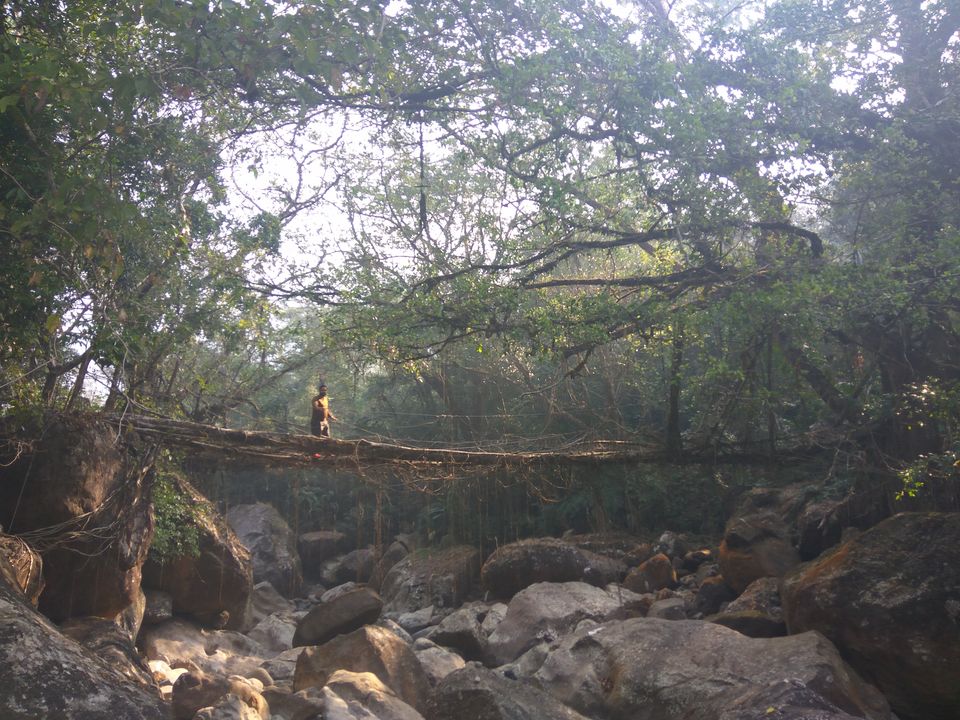 Photo of Detailed Travel Guide for "Meghalaya" 21/27 by raina.sahil