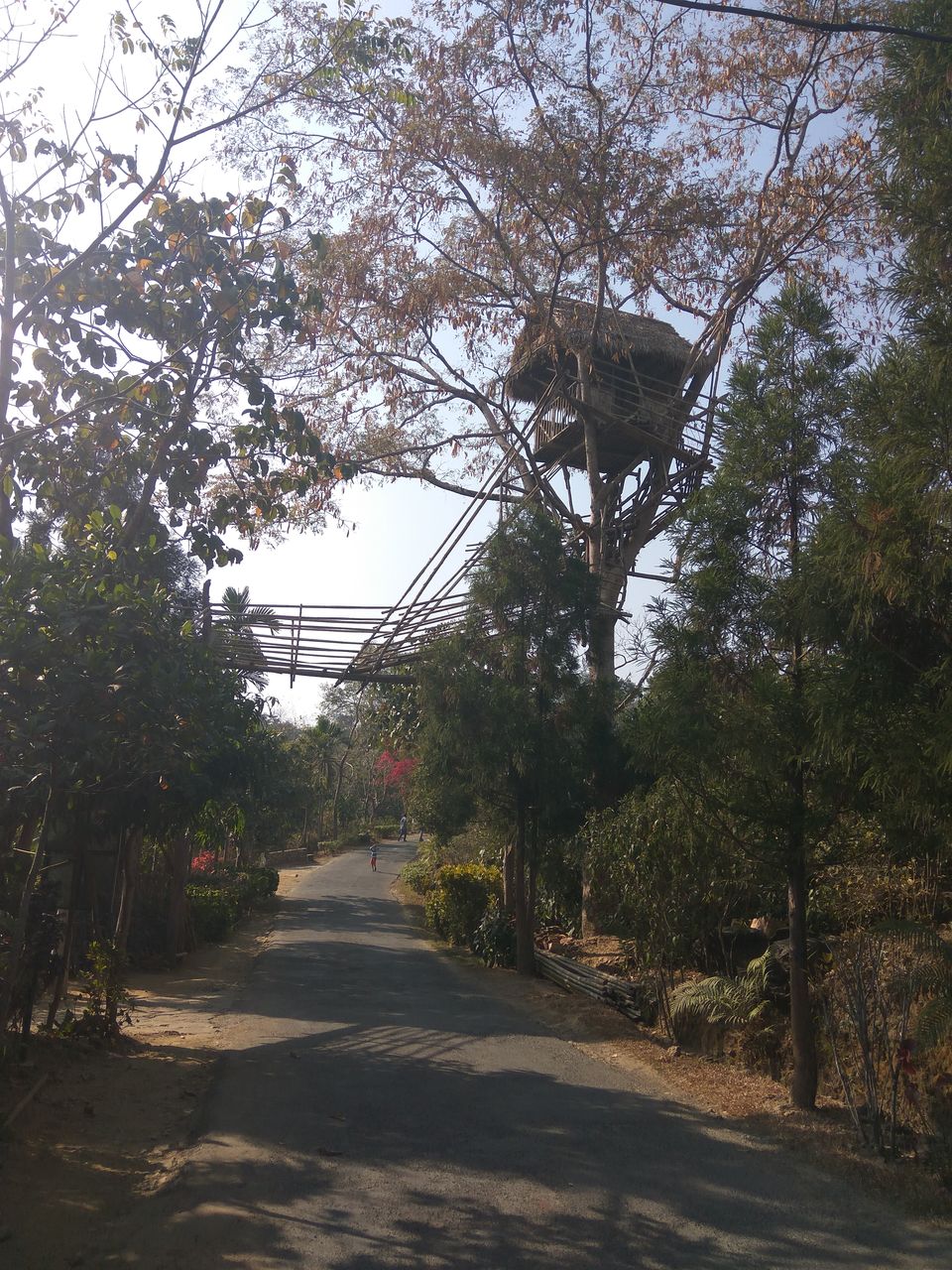 Photo of Detailed Travel Guide for "Meghalaya" by raina.sahil