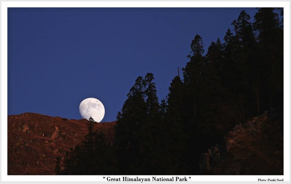 Photo of Great Himalayan National Park - Into Wilderness 1/26 by Great Himalayan National Park