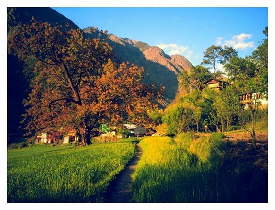 Photo of Great Himalayan National Park - Into Wilderness 2/26 by Great Himalayan National Park