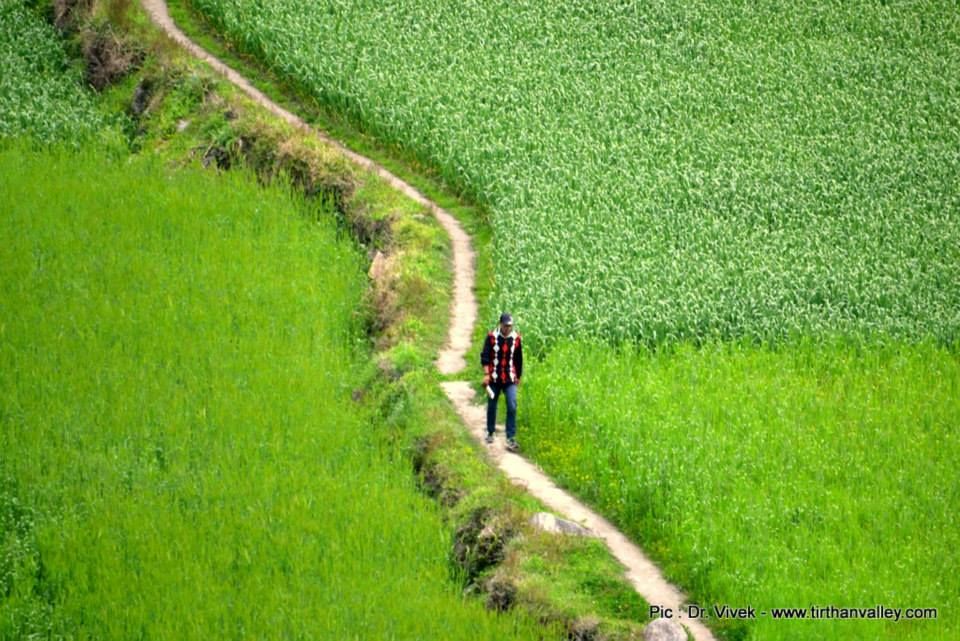 Photo of Great Himalayan National Park - Into Wilderness 3/26 by Great Himalayan National Park