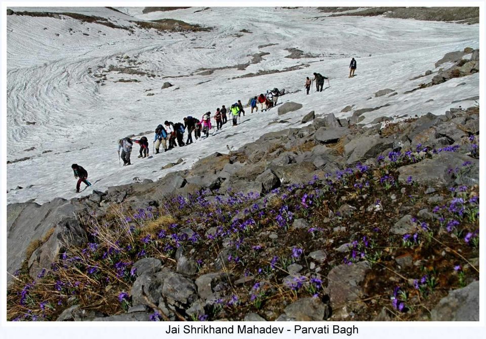 Photo of Great Himalayan National Park - Into Wilderness 20/26 by Great Himalayan National Park