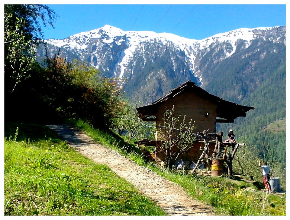 Photo of Great Himalayan National Park - Into Wilderness 12/26 by Great Himalayan National Park