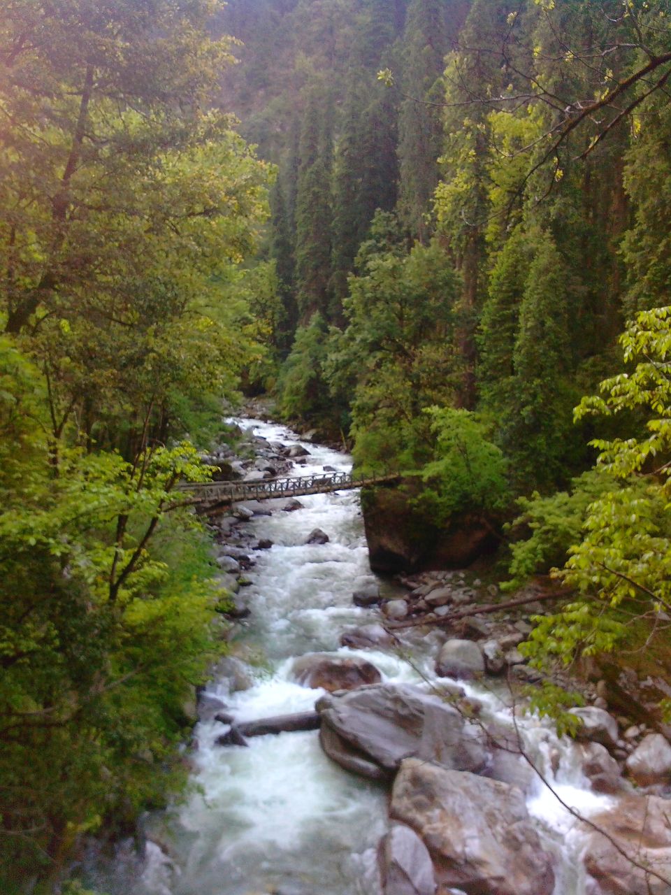 Photo of Great Himalayan National Park - Into Wilderness 15/26 by Great Himalayan National Park