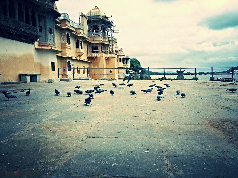 Photo of Udaipur - the city of lakes 25/27 by Rahul Chauhan