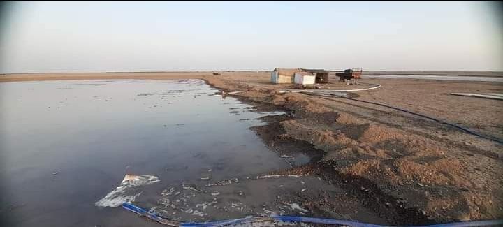 Photo of Little Rann of Kutch by Dr. Yadwinder Singh