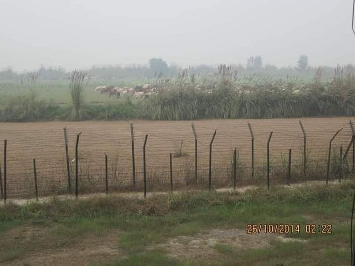 Photo of Dera Baba Nanak by Dr. Yadwinder Singh