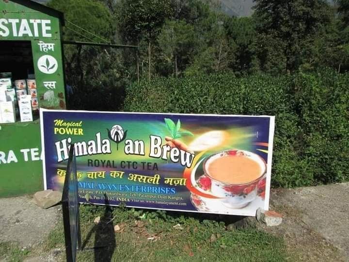 Photo of Palampur by Dr. Yadwinder Singh