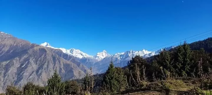 Photo of Auli by Dr. Yadwinder Singh