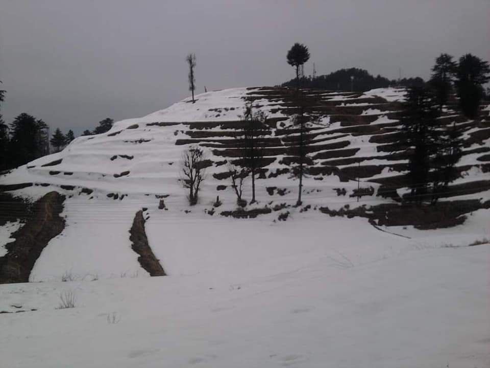 Photo of Kufri by Dr. Yadwinder Singh