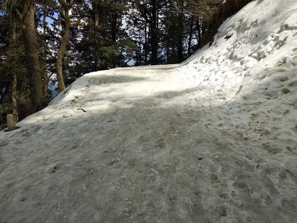 Photo of Hatu Peak by Dr. Yadwinder Singh