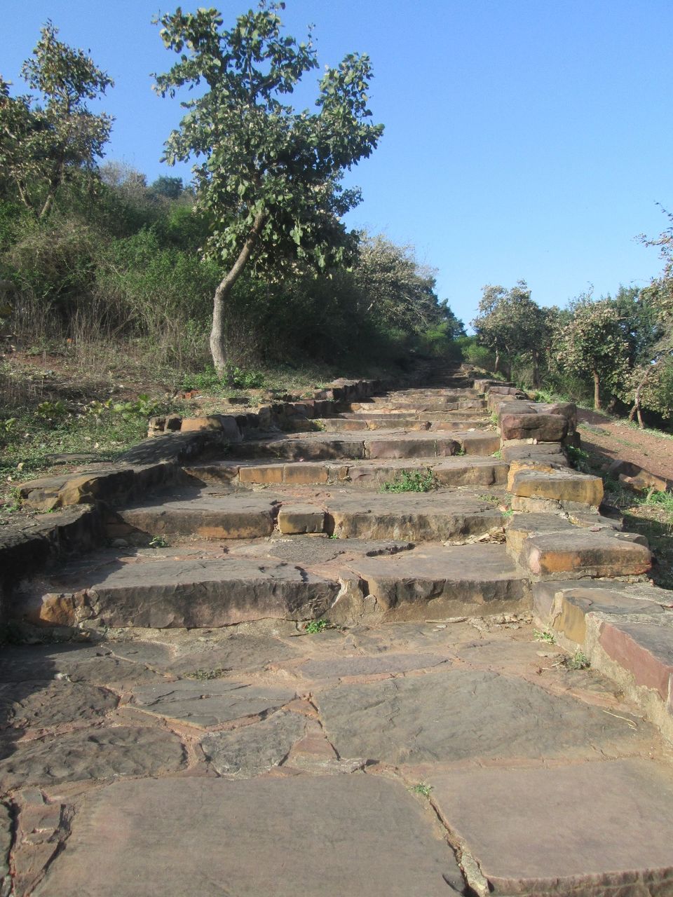 Photo of Sanchi by Dr. Yadwinder Singh