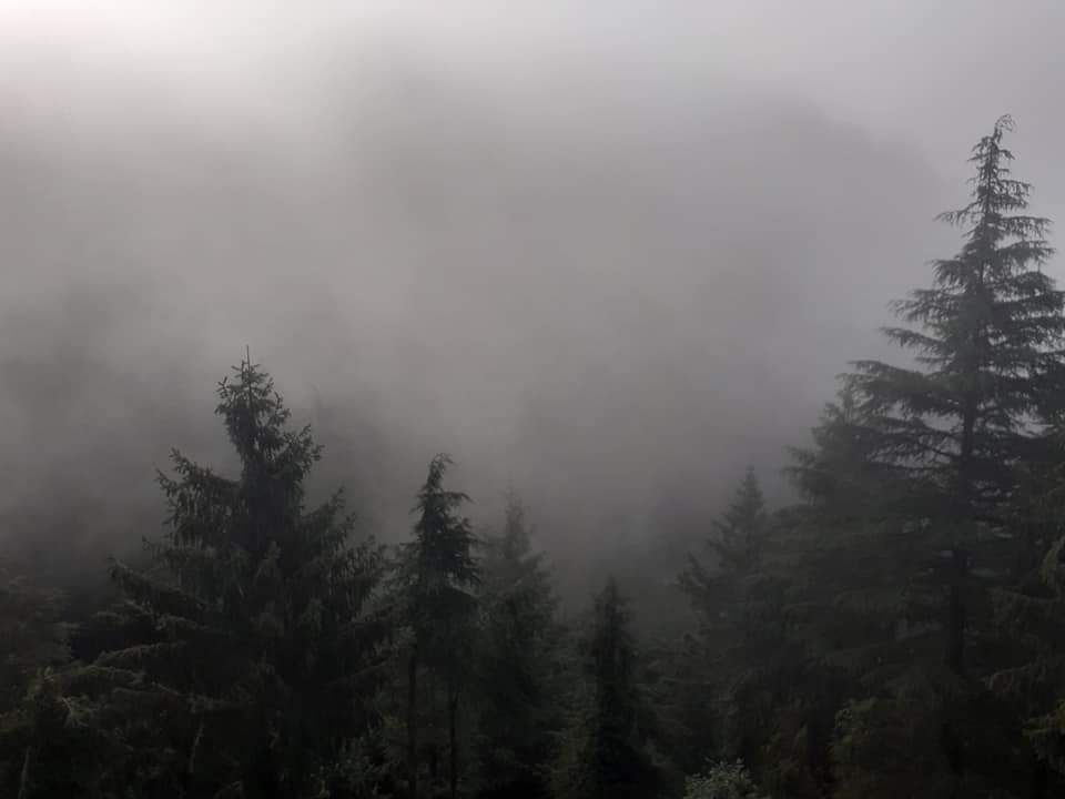 Photo of Dalhousie by Dr. Yadwinder Singh