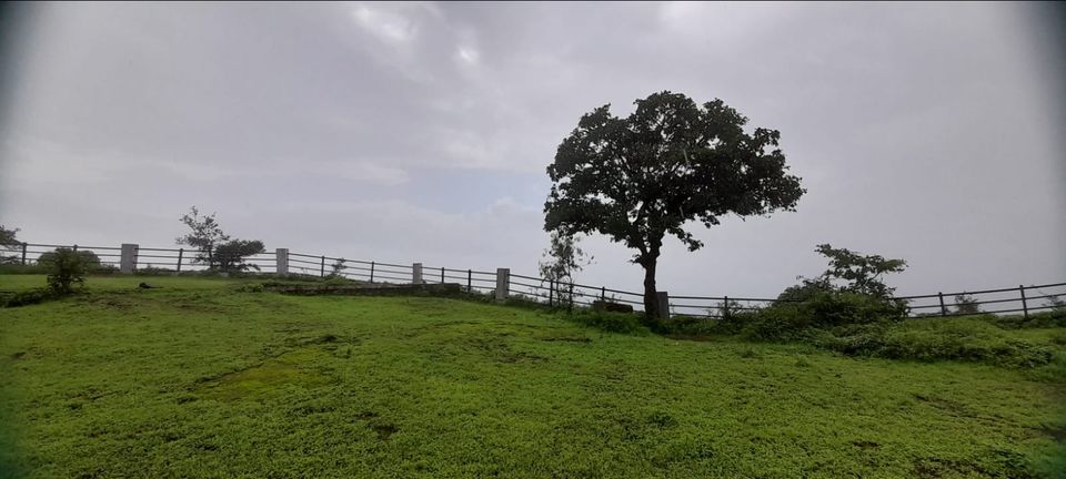 Photo of Saputara by Dr. Yadwinder Singh