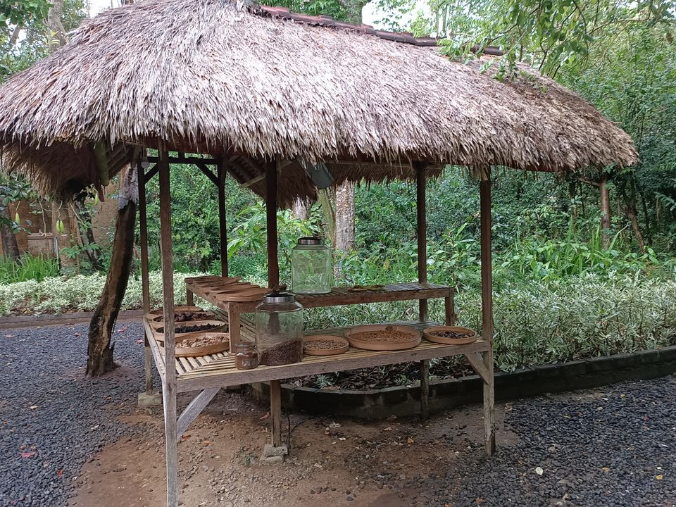 Photo of Bali by Dr. Yadwinder Singh