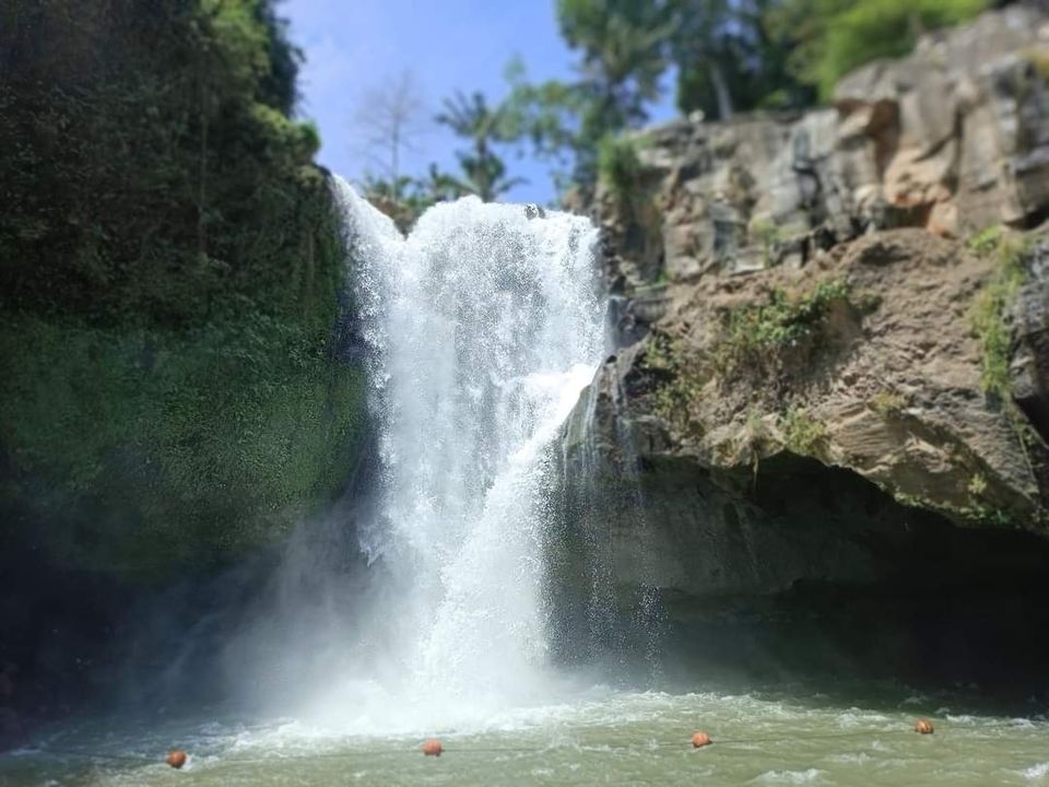 Photo of बाली by Dr. Yadwinder Singh