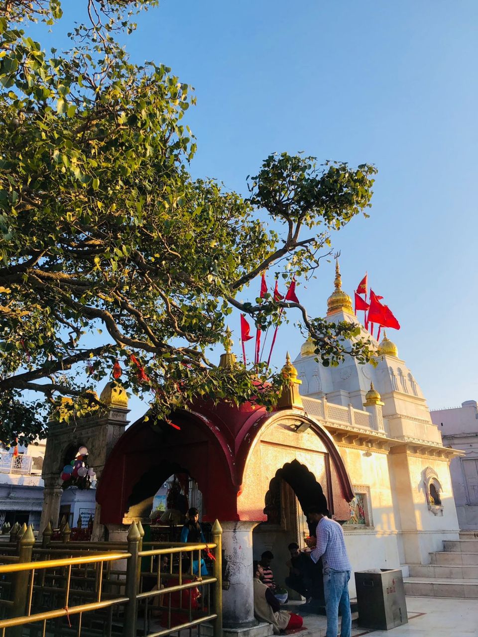 Photo of Naina Devi by Dr. Yadwinder Singh