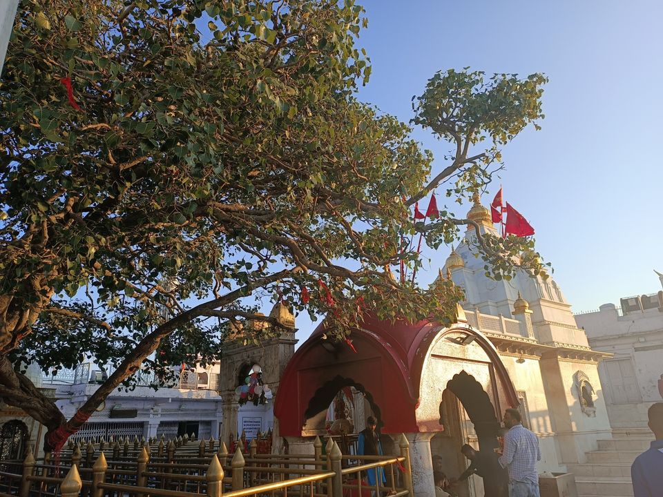 Photo of Naina Devi by Dr. Yadwinder Singh