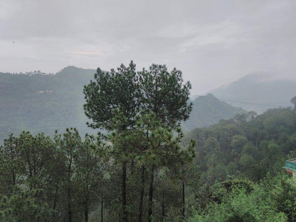 Photo of कसौली by Dr. Yadwinder Singh