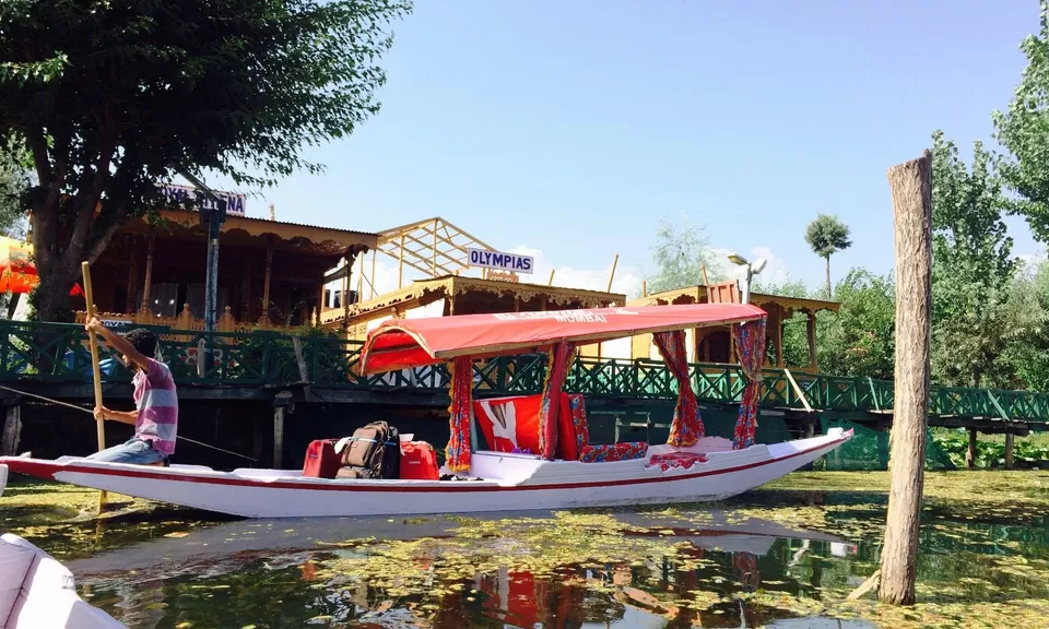 Photo of Dal Lake, Srinagar by Surbhi Vedi