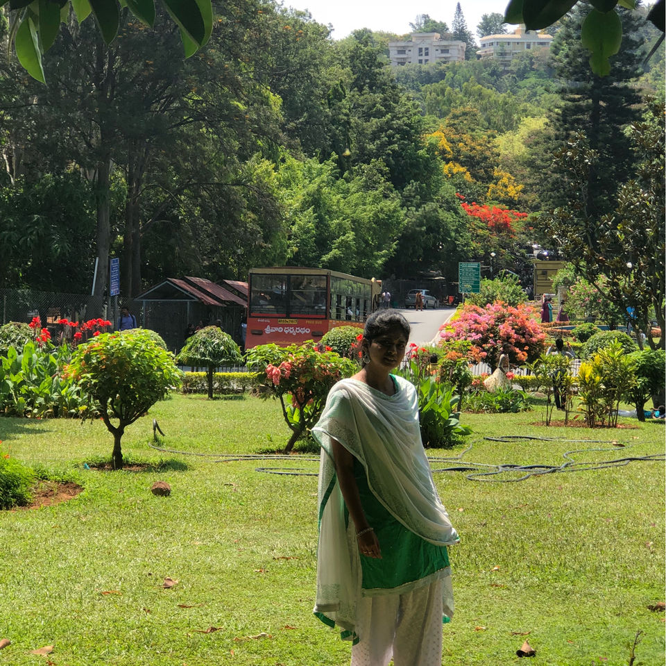 Photo of Tirumala, Tirupati, Andhra Pradesh, India by SRIJANYA