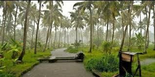 Photo of तमिलनाडु by shub