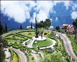 Photo of दार्जिलिंग by shub